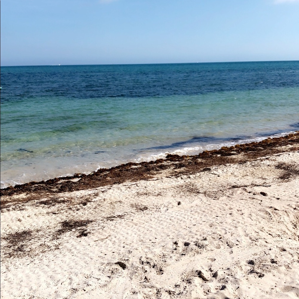 Meet your Posher, Kiki